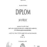 Vlastní Cesta Jiří Střelec diplom VUT